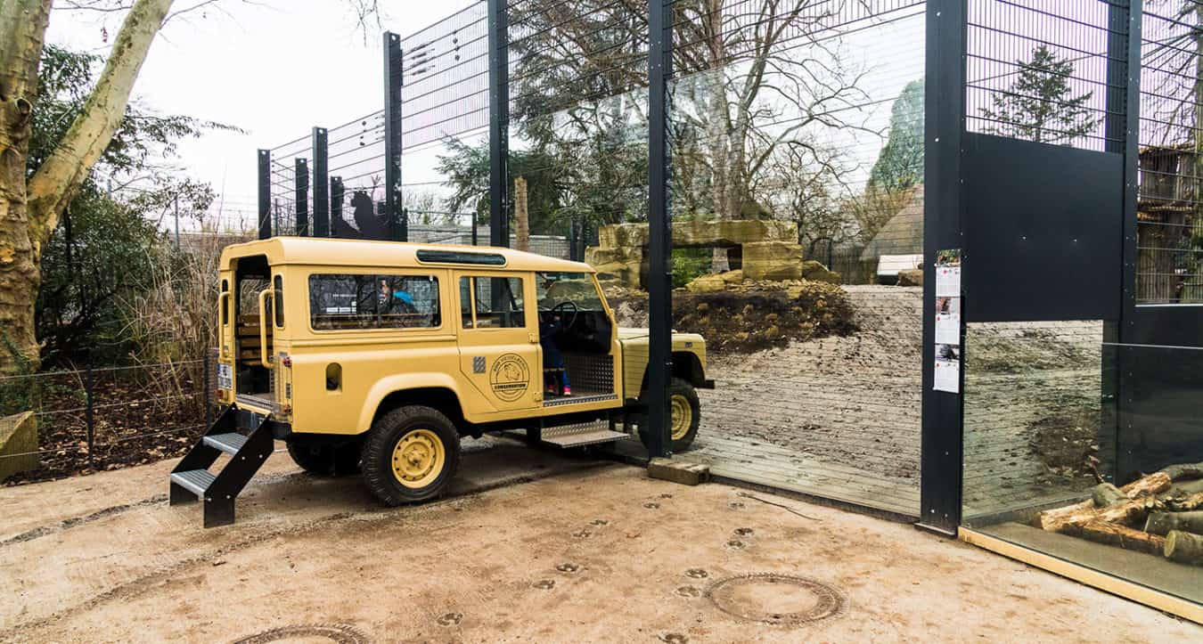 Safari-Fahrzeug an der neuen Löwenanlage (Foto: Peter Bastian/Zoo Heidelberg)