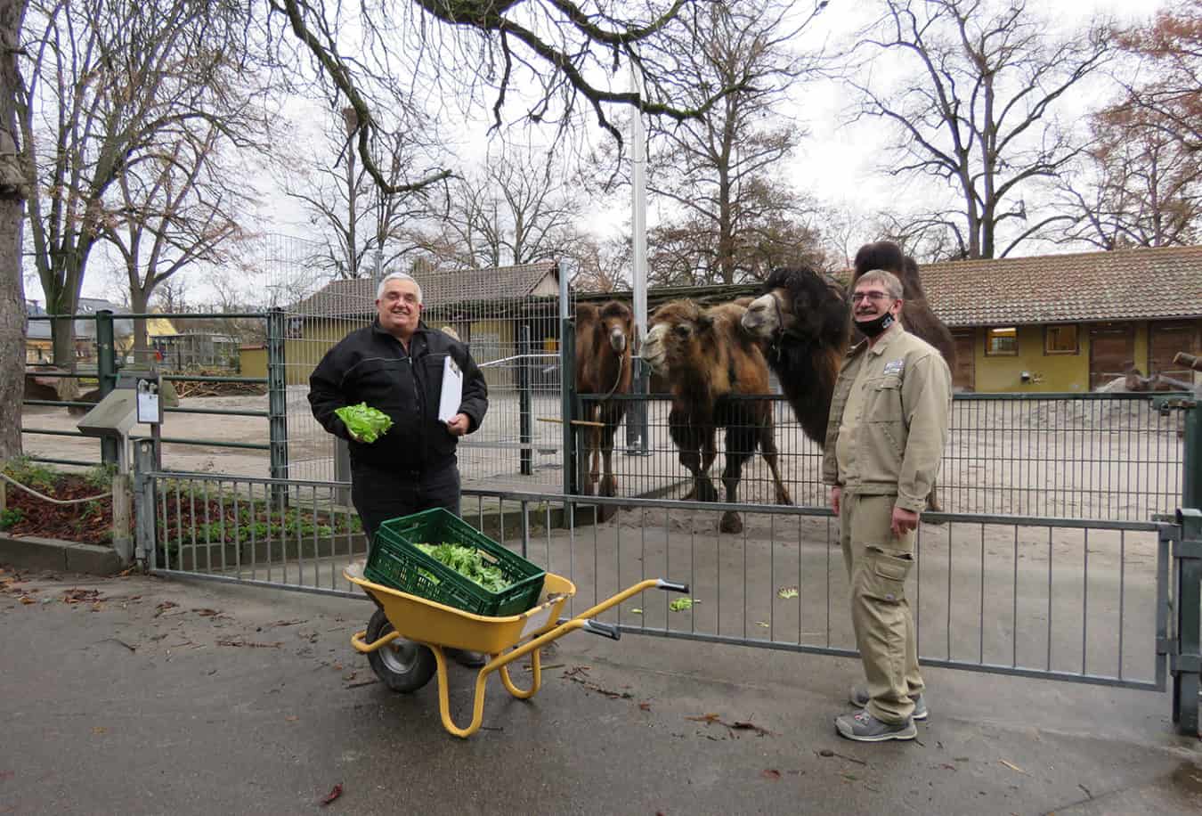 Leckerbissen zum Fest - Zoo Heidelberg - Leben Live Erleben