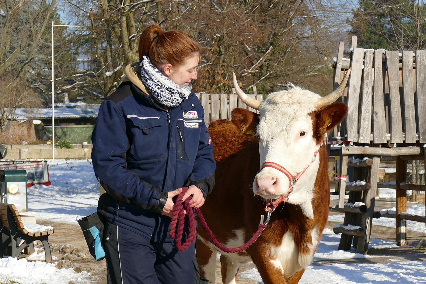 Bei „Ein Tag bei den Tieren“ begleiten die Teilnehmer für 4 Stunden einen Tierpfleger im Zoo Heidelberg und dürfen aktiv mitarbeiten. (Foto: Petra Medan/Zoo Heidelberg)